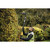 DEWALT DCPH820P1 - 20V MAX* 22 in. Cordless Pole Hedge Trimmer Kit