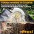 Prazi PR-7000 cutting structural wood beams and posts