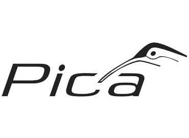 Pica