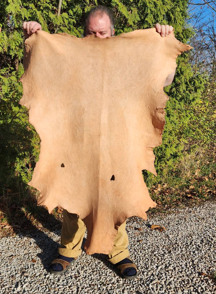 marushio48　別注 DeerskinCorsica Mimosa Bark Tanned Deer (unfinished) DMU2 - Bowskin