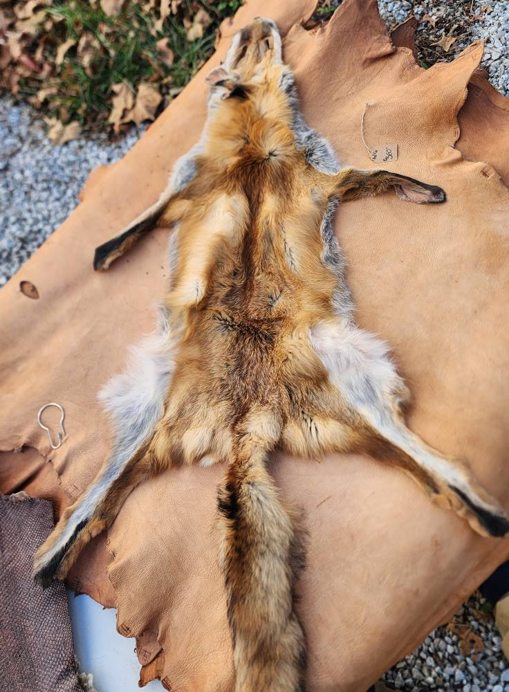 REDFOX1 - Bowskin