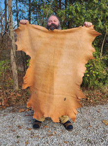 Oak Bark Tanned Deer (finished) DOF6 Oak Bark Tanned Deer (finished) DOF6