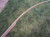72" Hickory Backed Ipe U-Complete Longbow
