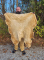 Smoked Buckskin