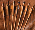 Rivendale Scout arrows