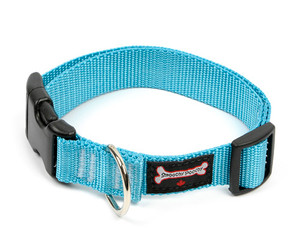 Smoochy Poochy Nylon Collar - Turquoise Smoochy Poochy Nylon Collar - Turquoise