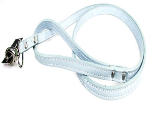 Chloe's Leash - Baby Blue