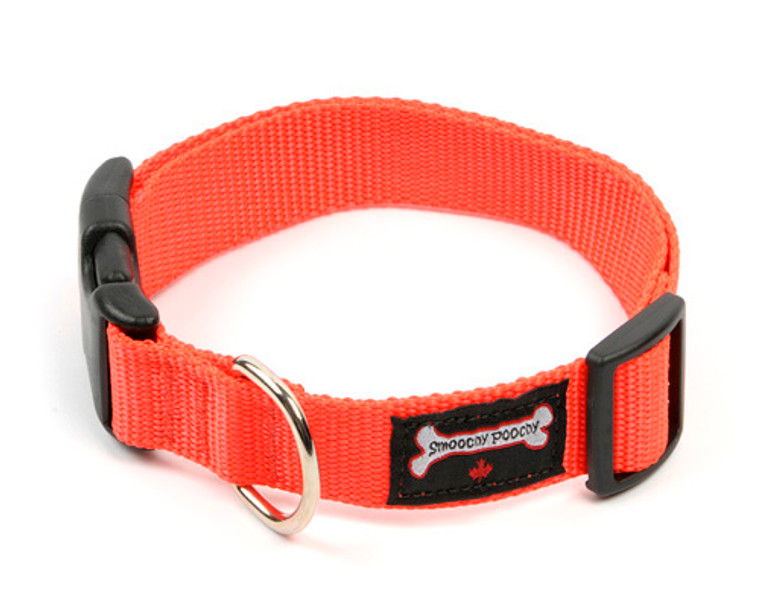 Smoochy Poochy  Nylon Collar - Orange