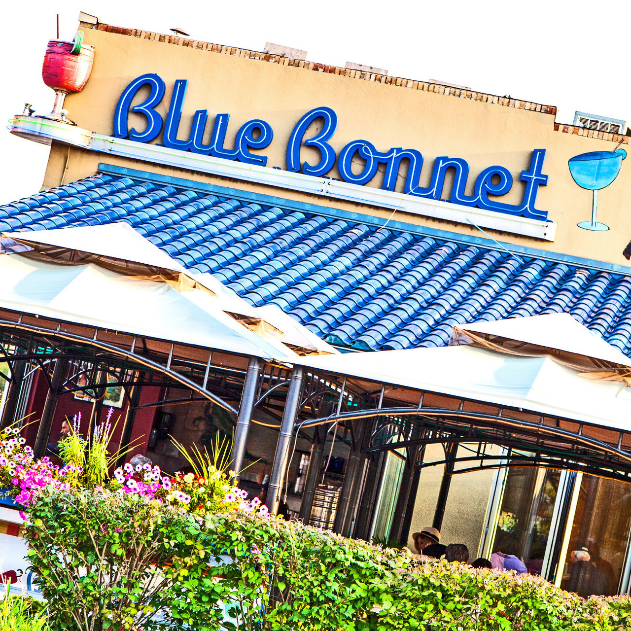 blue_bonnet__25584.1577922535.