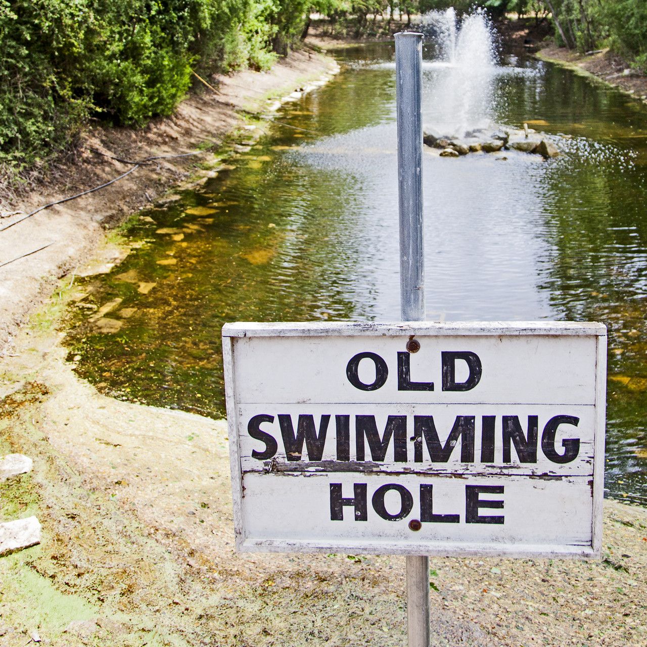 The Old Swimming Hole