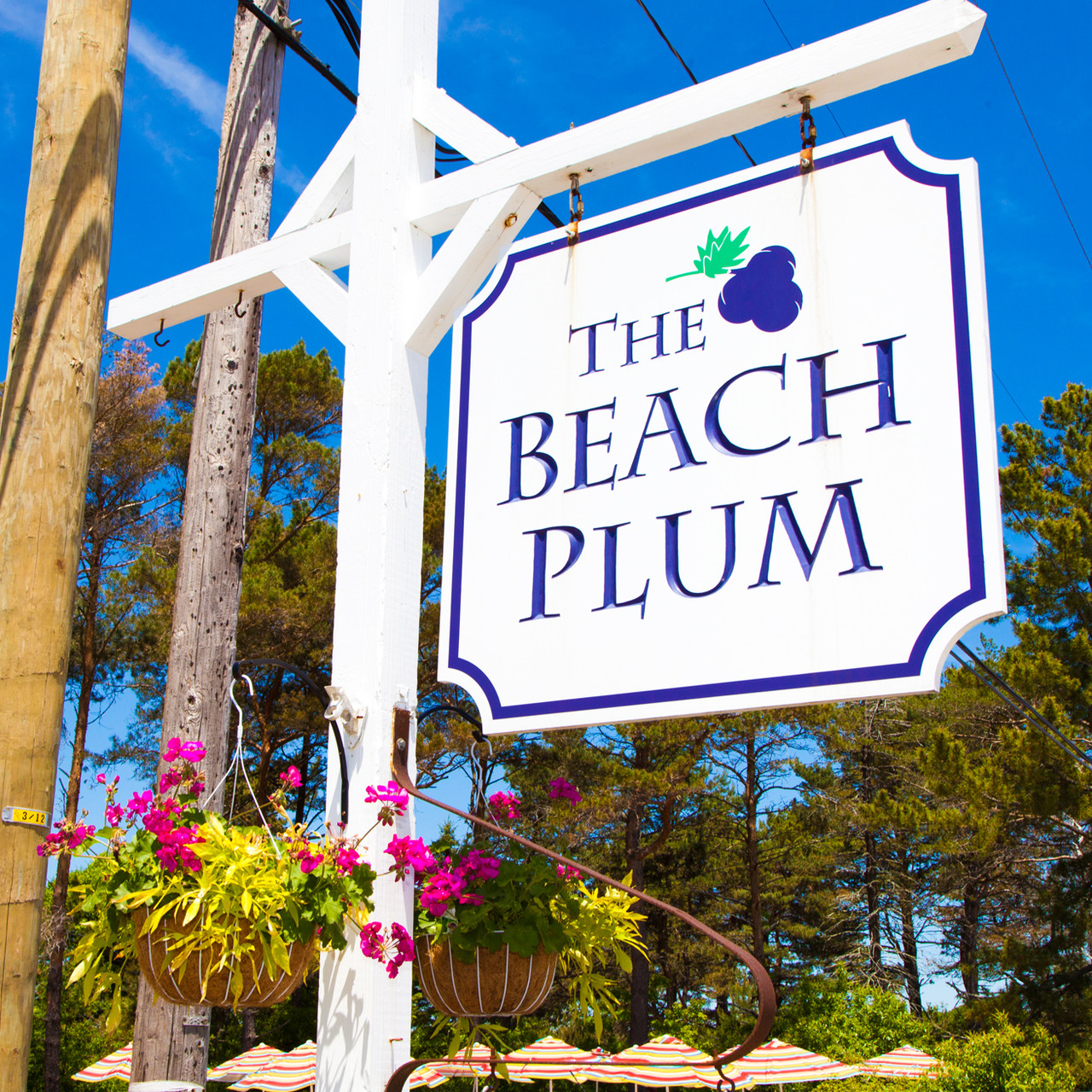 The Beach Plum