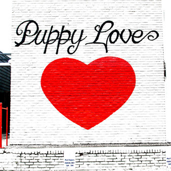 Austin is a VERY dog friendly city. In fact, most people take their pups everywhere with them around town. This popular mural is located outside of Mud Puppies, a local dog grooming shop off of Riverside Drive.