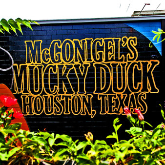 McGonigel's is a modern pub and concert venue featuring diverse acts (from rock to country), beer, wine & eclectic bites. Additionally, McGonigel's features themed nights like game nights and karaoke night. It's safe to say you'll never be bored!