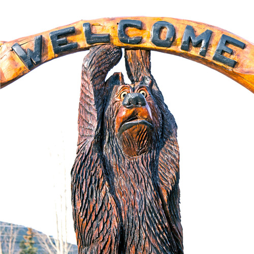 As Colorado is known for its parks which brings wildlife, it features its own natural exhibits, one being a wildlife bear exhibit. Here visitors are welcomed by a  bear as they embark on a new adventure in their life.