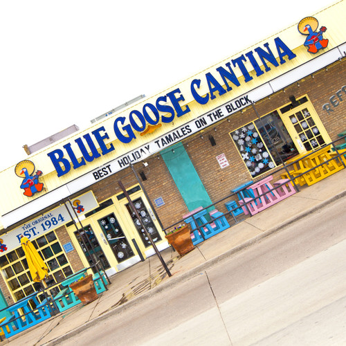 Blue Goose Cantina has been around since 1984 with the first location opening up on Lower Greenville Avenue in Dallas, Texas. The restaurant was voted Best Tex-Mex Restaurant in DFW in 2019. Come on to Blue Goose, sit on the patio, drink margaritas, eat chips & salsa and check out the scene on Greenville Ave. Blue Goose Cantina has been around since 1984 with the first location opening up on Lower Greenville Avenue in Dallas, Texas. The restaurant was voted Best Tex-Mex Restaurant in DFW in 2019. Come on to Blue Goose, sit on the patio, drink margaritas, eat chips & salsa and check out the scene on Greenville Ave.