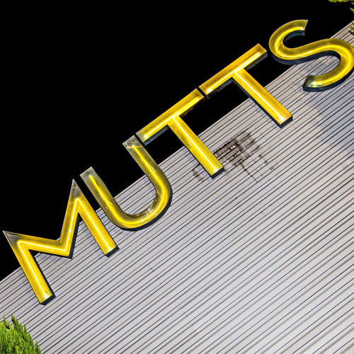 Most popular for its large off-the-leash dog park, this cantina is extremely pet-friendly and offers casual eats, craft beers served concession-style. Most popular for its large off-the-leash dog park, this cantina is extremely pet-friendly and offers casual eats, craft beers served concession-style.