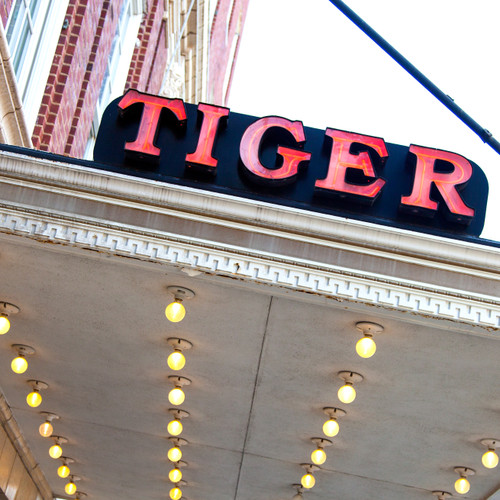 The Tiger Hotel The Tiger Hotel