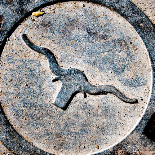 This manhole cover is on the University of Texas college campus in Austin, Texas. This manhole cover is on the University of Texas college campus in Austin, Texas.