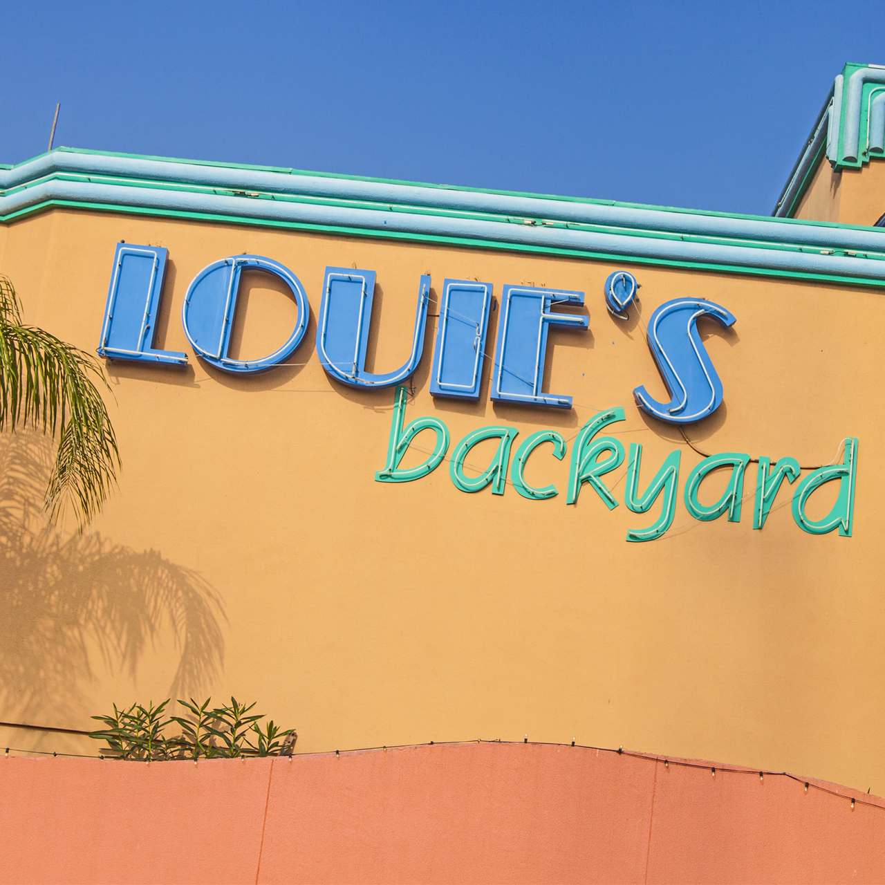 Louie S Backyard