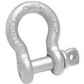 SHACKLE 1\4" M646G #702859 090582
