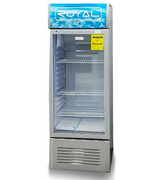 FREEZER 11C.F. ROYAL VERTICAL 180525