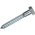 SCREW LAG 1/4" X 1" #230003 091701