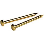 PIN ESCUTCHEON BRASS 1"X16 099588