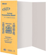 BOARD TRI-FOLD PRESENTATION 141852
