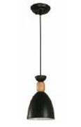 FIXTURE HANGING 1L 40W E27 M.BLK 087498