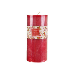 CANDLE RED APPLE SPICE 1220597