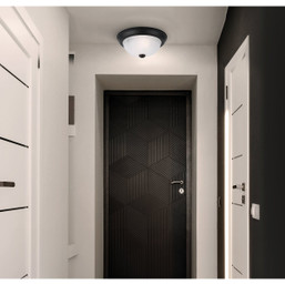 Canarm 11-Inch Black Flush Mount Ceiling Light Fixture with Frosted Glass (2-Pack)