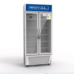 FREEZER 20 C.F. ROYAL VERTICAL 180524