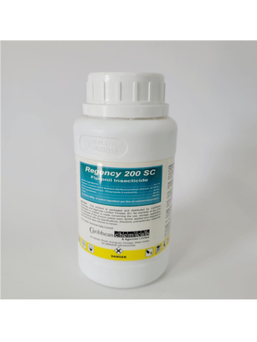 REGENCY 250ML 111560