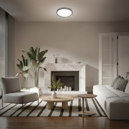 Feit 11-Inch Interchangeable Trim LED CCT Flat Panel Disc Ceiling Light with Night Light