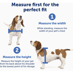 PetSafe Medium Plastic Pet Door