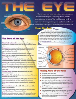 CHARTLET-THE EYE 414040 145029