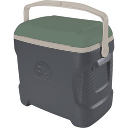 COOLER BOX 40QT NAVY/GREEN 1210934