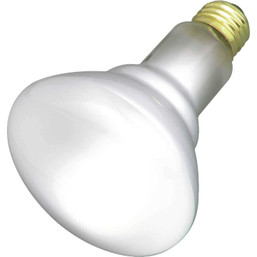 BULB REFLECTOR FLD R30 65W 2PK 083030