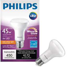 BULB LED 45W R20 27K #500431 086631