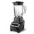 BLENDER 12-SPEED 700 WATTS-BKL 184561