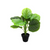 PLANT ARTIFICIAL W/PLASTIC POT 1263328
