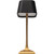Westek Amerelle Belair Black Bronze Rechargeable Indoor/Outdoor LED Lamp