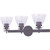 Home Impressions 3-Bulb Oil Rubbed Bronze Vanity Bath Light Fixture with Seeded Glass