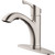 Home Impressions 1-Handle Lever Pull-Out Kitchen Faucet - Brushed Nickel