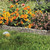 Suncast 6 Inch High x 12 Inch Long Border Stone Poly Lawn Edging (10 Pack)
