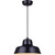 Canarm Levi 14 Inch Black Metal Warehouse Pendant Light Fixture