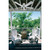 Hunter Sea Air Outdoor 52-Inch White Wet Location Ceiling Fan