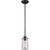 Home Impressions 1-Bulb Oil Rubbed Bronze Incandescent Rod Pendant Light Fixture