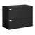 CABINET FILE OTG 2DWR LATERAL 291300