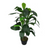 PLANT ARTIFICIAL W/PLASTIC POT 1222162